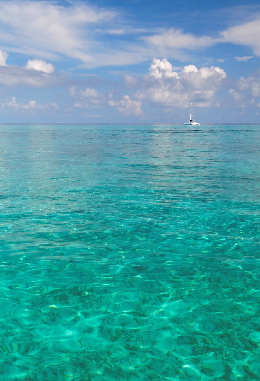 Unforgettable Eco-Adventures in the Cayman&nbsp;Islands